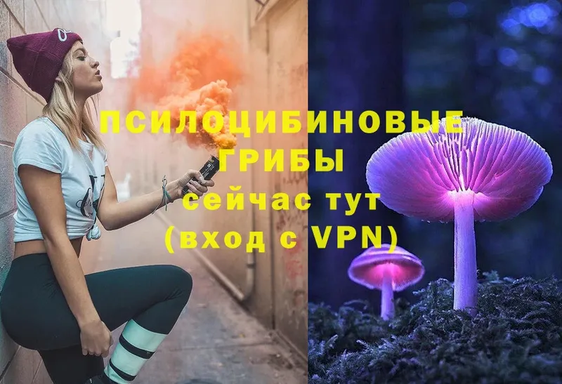 Галлюциногенные грибы Magic Shrooms  где можно купить наркотик  hydra зеркало  Орлов 